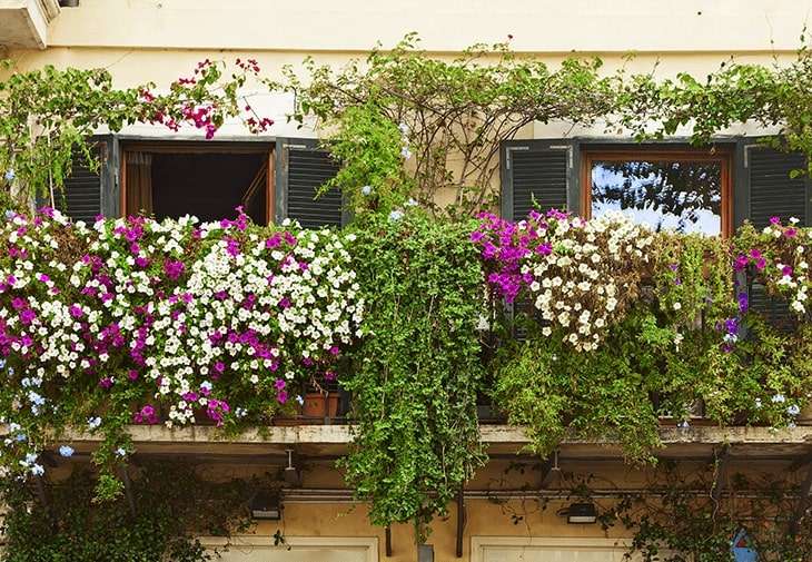Aménager petit balcon avec des plantes vertes